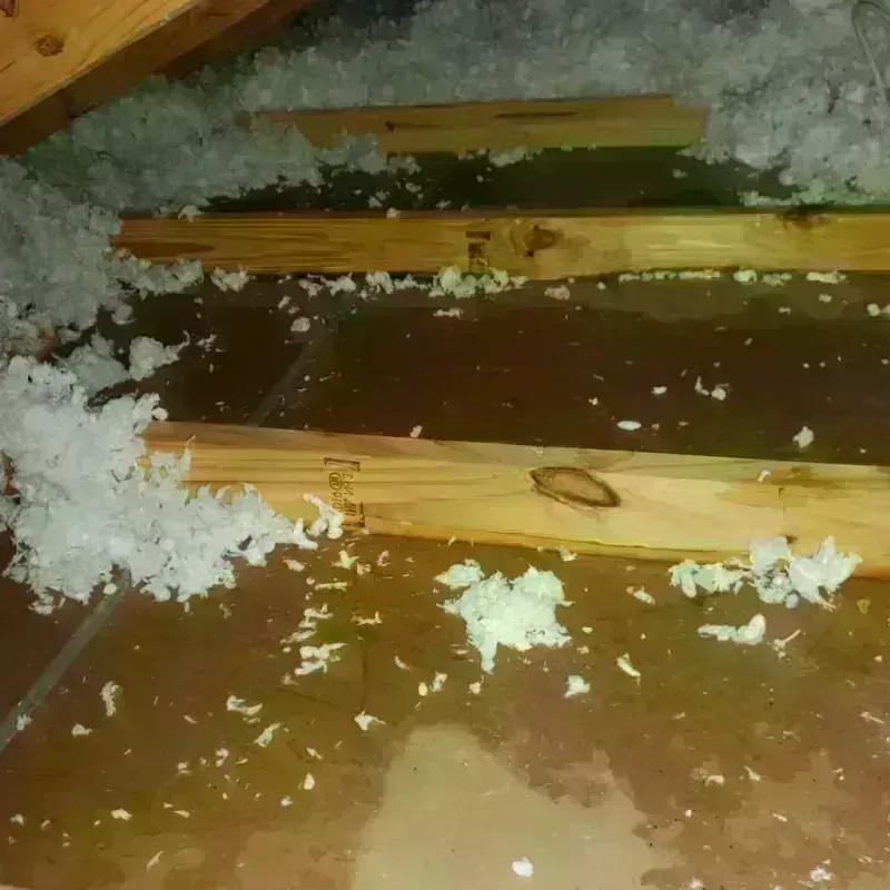 Best Attic Water Damage Service in Oak Brook, IL