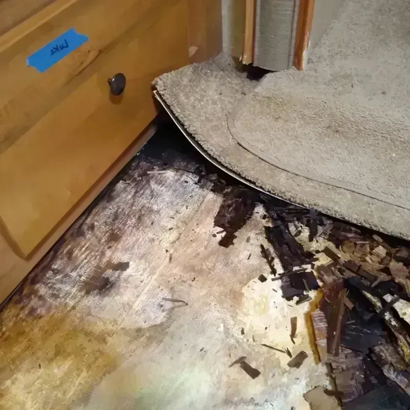 Wood Floor Water Damage in Oak Brook, IL